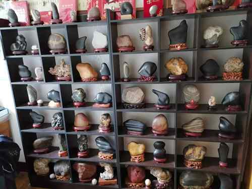 1742264572480910.jpg 1729841502848062600.jpg