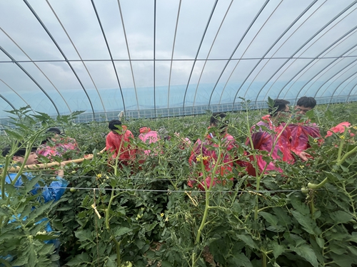 1742266939197365.jpg 1717402813959034150.jpg