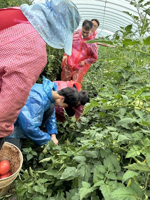 1742266954115745.jpg 1717402893522039144.jpg