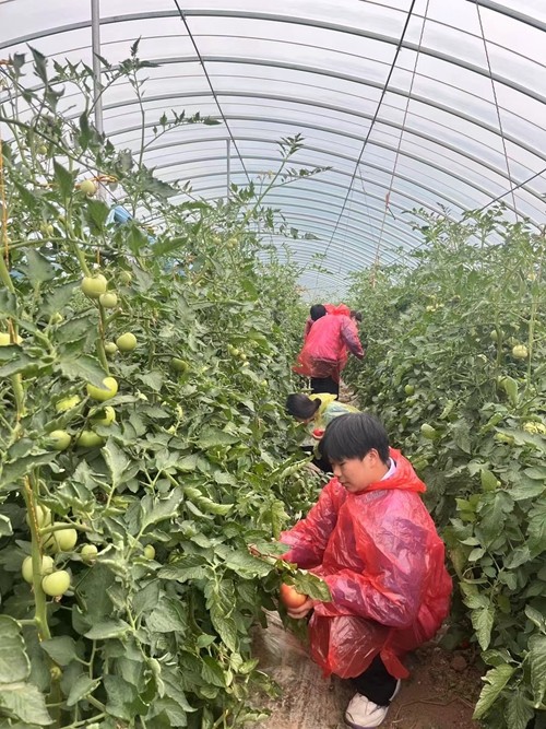 1742266956158704.jpg 1717402893558058263.jpg