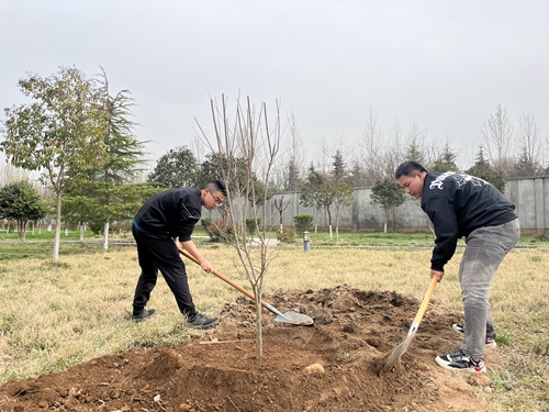 1742267111111371.jpg 1716857962760050252.jpg