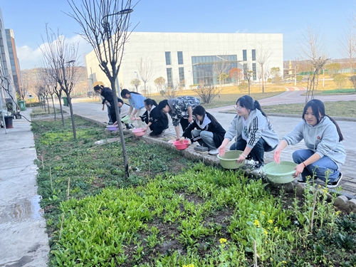 1742267121192867.jpg 1716858321598069148.jpg