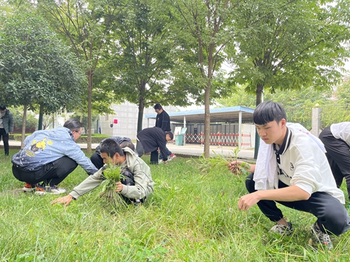 1742267129364420.jpg 1716858389237078087.jpg