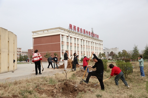 1742269996181848.jpg 1711695828442058444.jpg