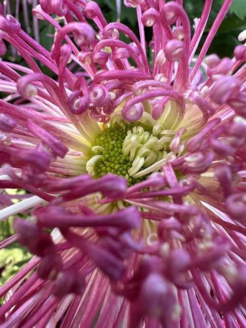 1742279445206129.jpg 1698736899117073347.jpg