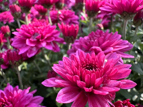 1742279451825858.jpg 1698736899150095172.jpg