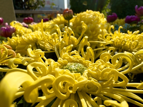 1742279456154821.jpg 1698736899186013102.jpg