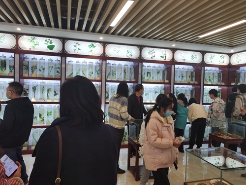 1742355031255589.jpg 30.jpg