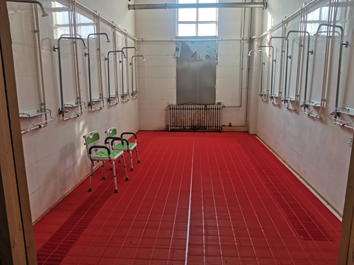 1742365945481308.jpg 54.jpg