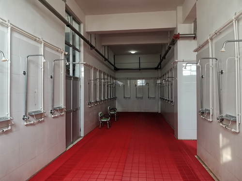 1742365952110574.jpg 55.jpg