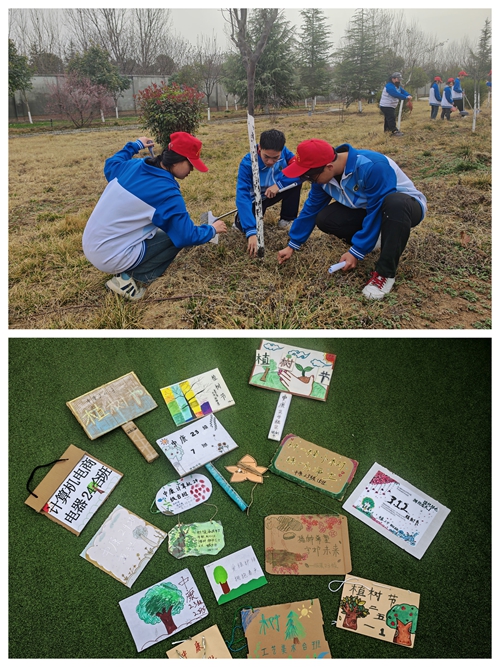 1742392322109836.jpg 3.jpg