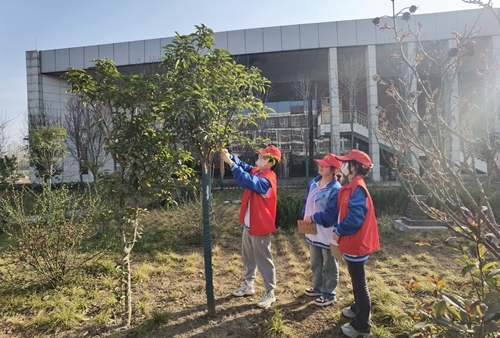 1742808276191491.jpg 1678676115288042441.jpg