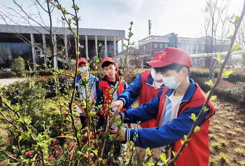 1742808283203997.jpg 1678676115321083808.jpg