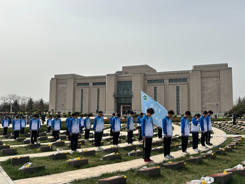 1743758690539552.jpg 19.jpg